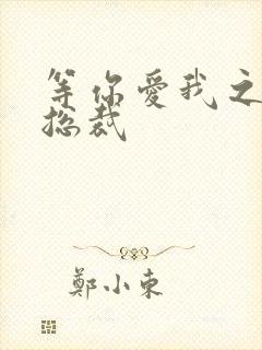 等你爱我之冰山总裁