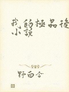 我的极品后宫 小说