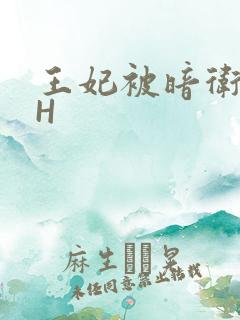 王妃被暗卫肉高H