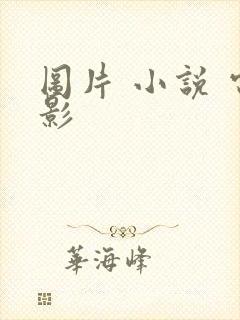 图片 小说 电影