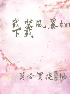 武装风暴txt下载