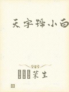 天字号小白脸