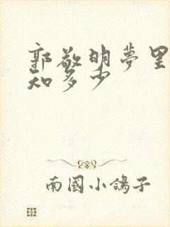 郭敬明梦里花落知多少