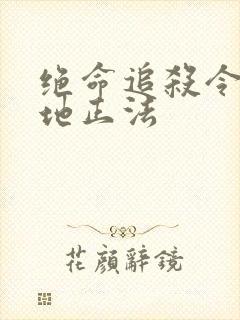 绝命追杀令2就地正法