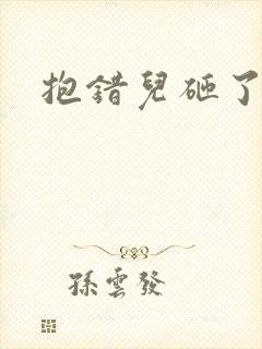 抱错儿砸了