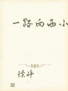 一路向西小说