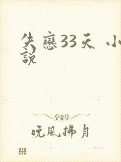 失恋33天 小说