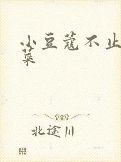 小豆蔻不止是颗菜