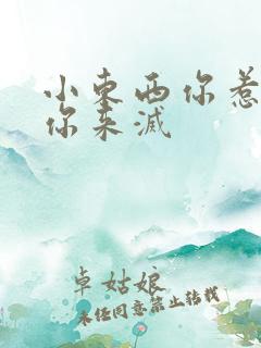 小东西你惹的火你来灭