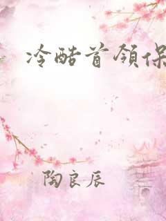 冷酷首领保姆妻