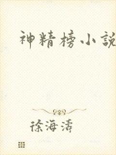 神精榜小说