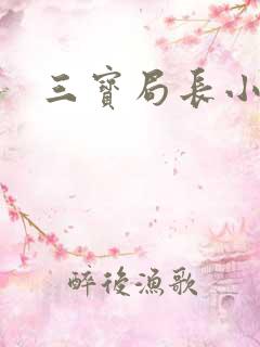 三宝局长小说