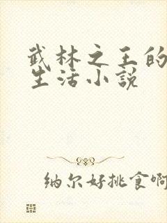 武林之王的退隐生活小说