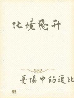 化境飞升