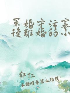 军婚守活寡重生后离婚的小说