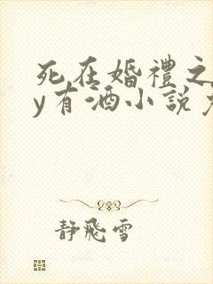 死在婚礼之前by有酒小说免费阅读