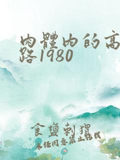 肉体内的高速公路1980