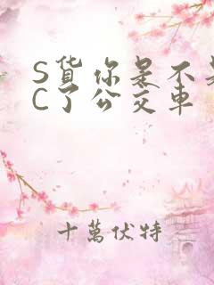 S货你是不是欠C了公交车