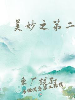 美妙之第二人生