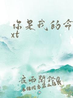 你是我的命运txt