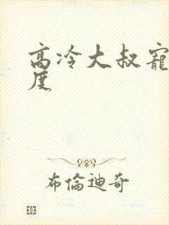 高冷大叔宠妻无度