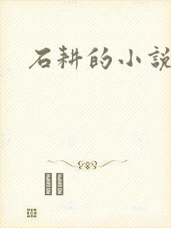 石耕的小说