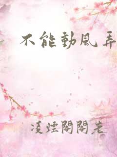 不能动风弄