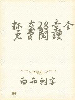 抓灰28章全部免费阅读