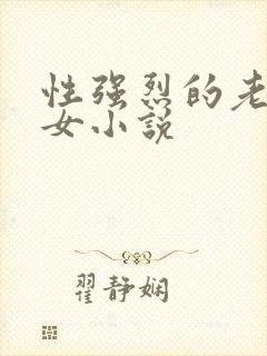 性强烈的老年妇女小说