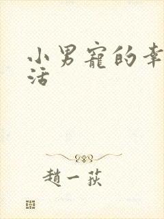 小男宠的幸福生活