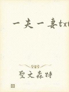 一夫一妻txt