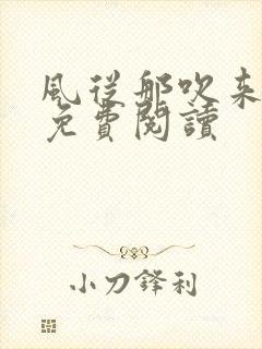 风从那吹来小说免费阅读