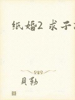纸婚2 求子记