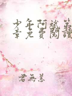 少年阿斌第13章免费阅读