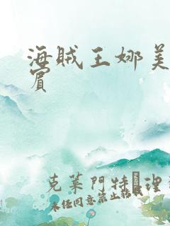 海贼王娜美h罗宾