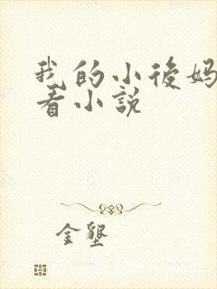 我的小后妈免费看小说