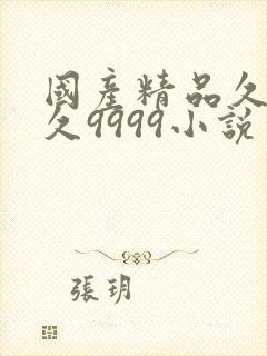 国产精品久久久久9999小说