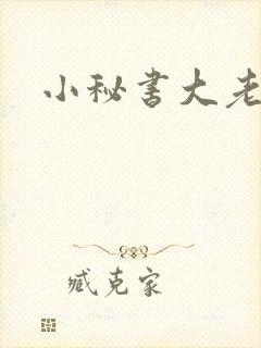小秘书大老婆