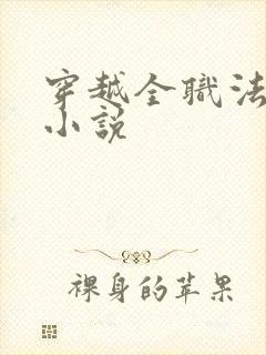 穿越全职法师的小说