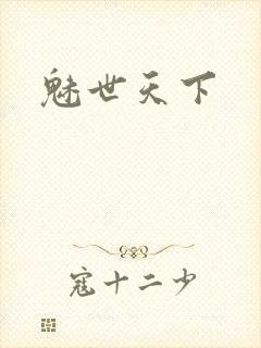 魅世天下