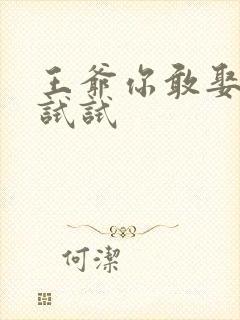 王爷你敢娶小三试试