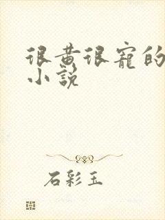 很黄很宠的总裁小说