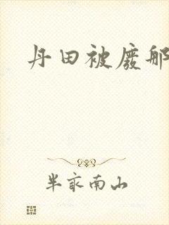 丹田被废那些年