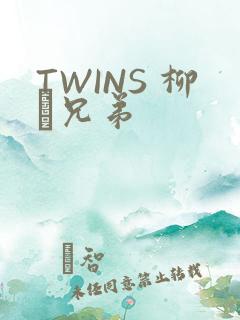TWINS 柳澤兄弟