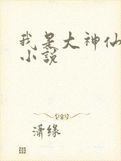 我是大神仙时江小说