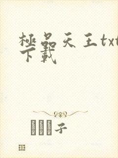 极品天王txt下载