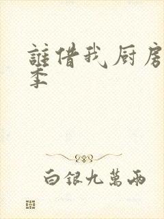 谁借我厨房第二季