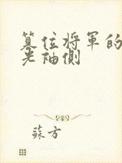 篡位将军的白月光袖侧