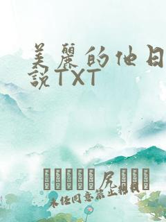 美丽的他日剧小说TXT