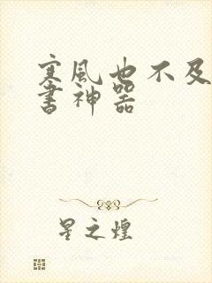 寒风也不及她追书神器